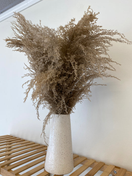 Pampas with Vase